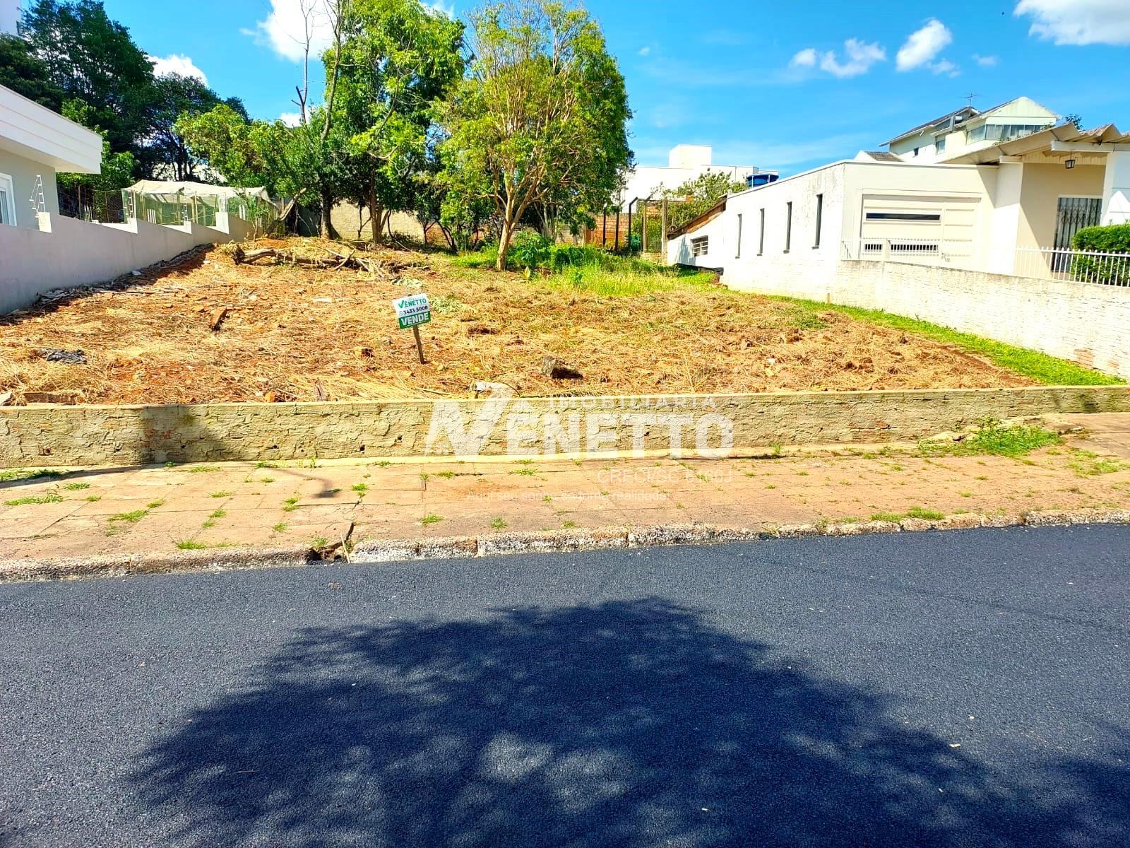 Terreno no centro com rua de asfalto, ótima opção para comercio.