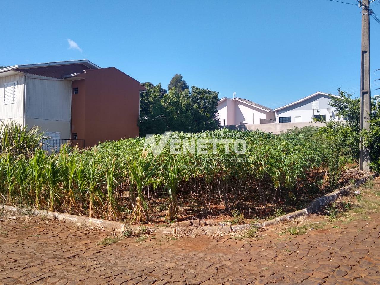 Terreno de esquina à venda no bairro São Jorge, lugar calmo e seguro