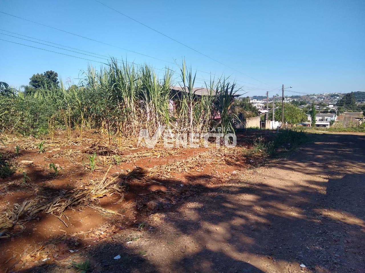 Excelente terreno à venda com 624m  próximo aos médicos no bairro São Jorge