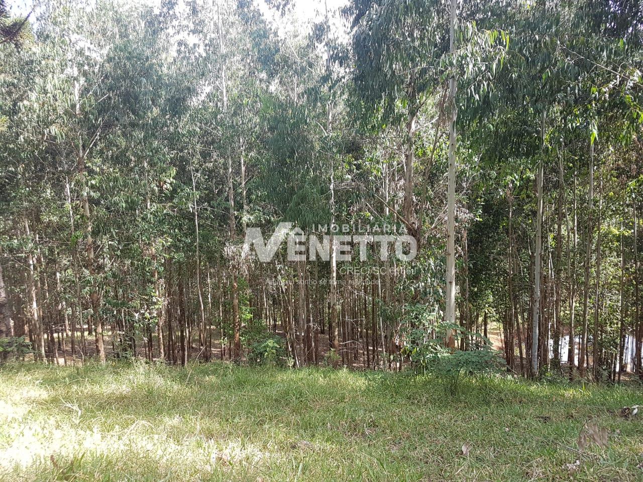 Área de terra para venda em Xavantina