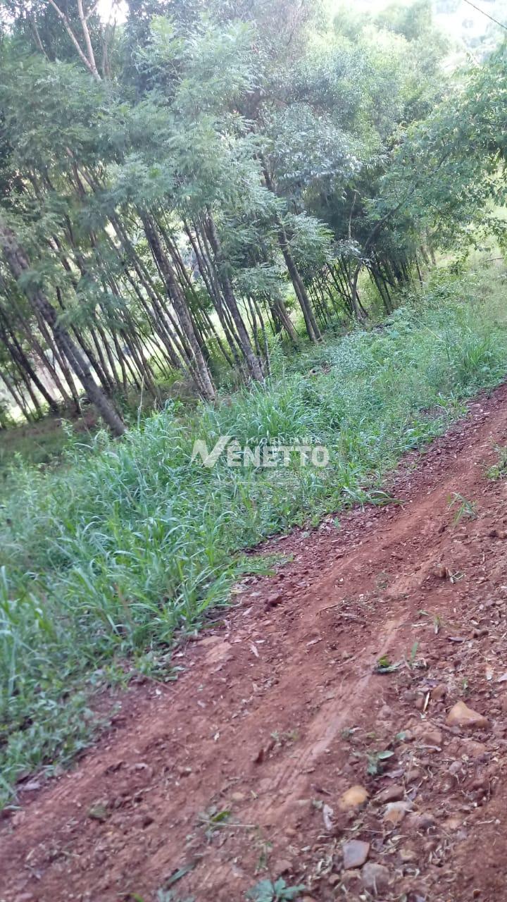 Excelente terreno para fazer um sítio com 3.200m  na cidade de Xanxerê