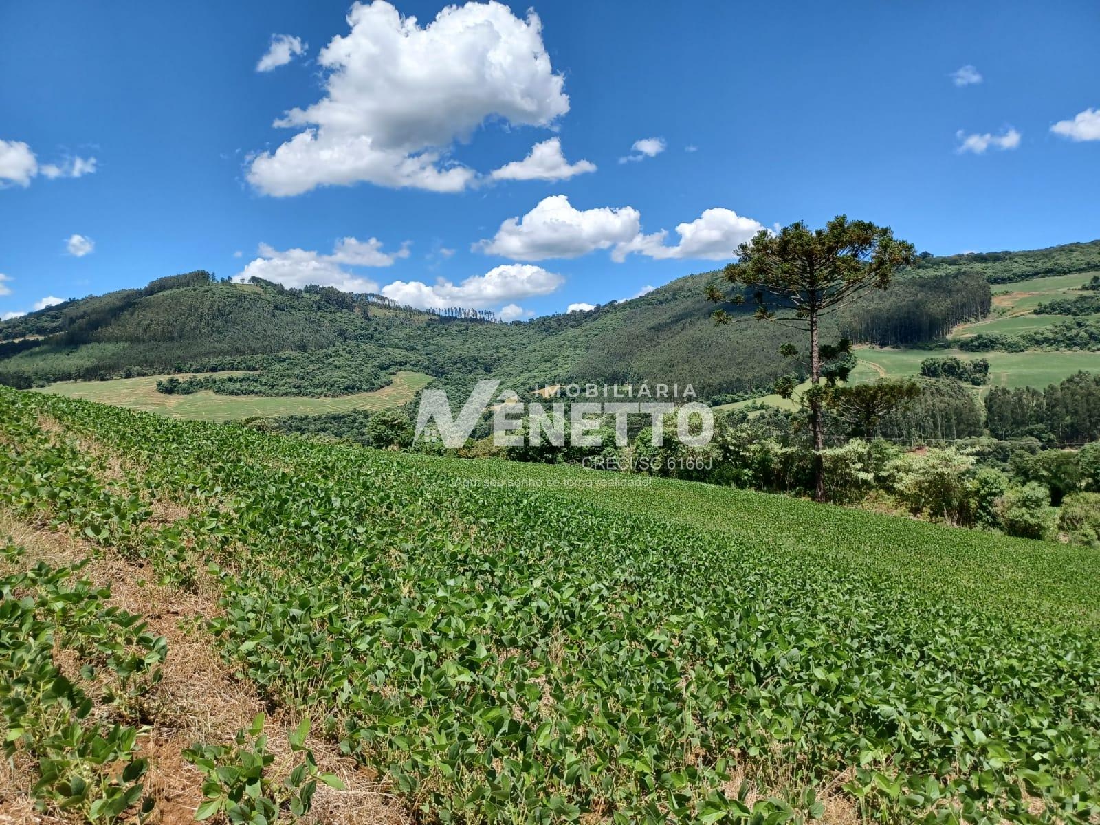 Não perca essa excelente área de terra situado no interior de Faxinal dos Guedes