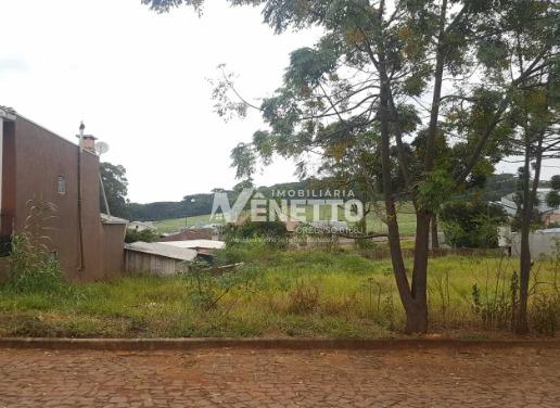 Lote no bairro Aparecida com ótima metragem e em excelente localização.