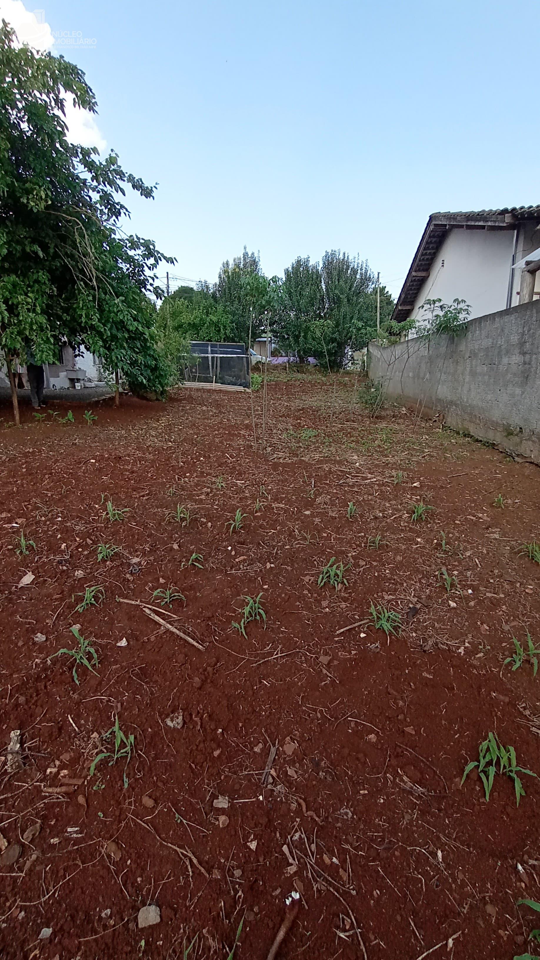 TERRENO 12 X 30 360 00M SITUADO NO LOTEAMENTO JARDIM VIRGINIA REF 