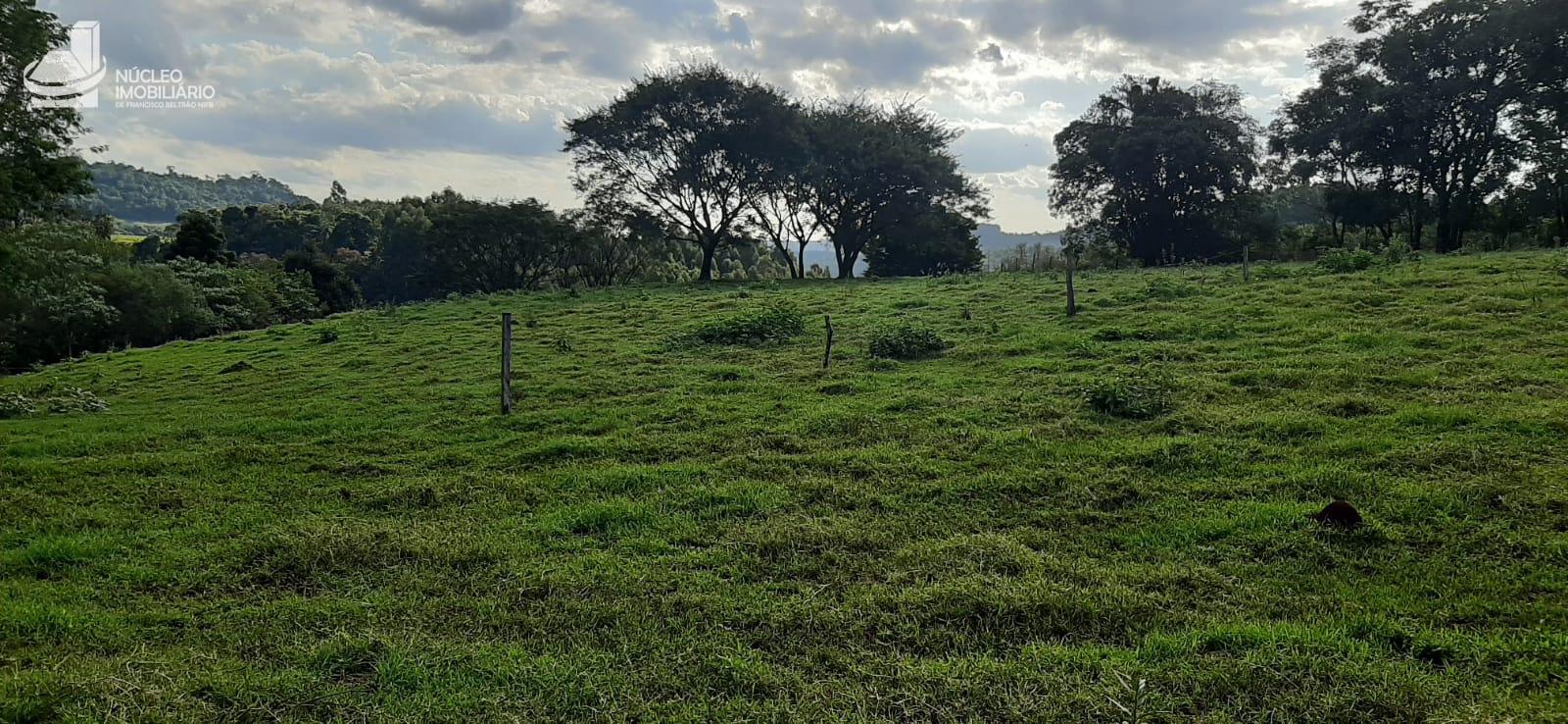 Vieira Imveis em Francisco Beltro PR