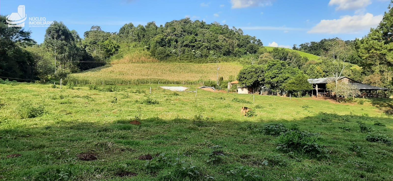 Vieira Imveis em Francisco Beltro PR