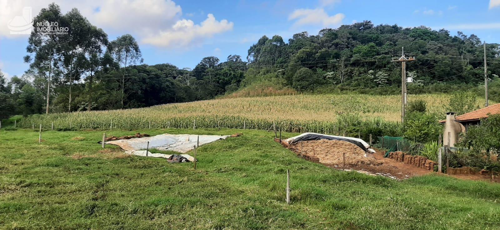 Vieira Imveis em Francisco Beltro PR