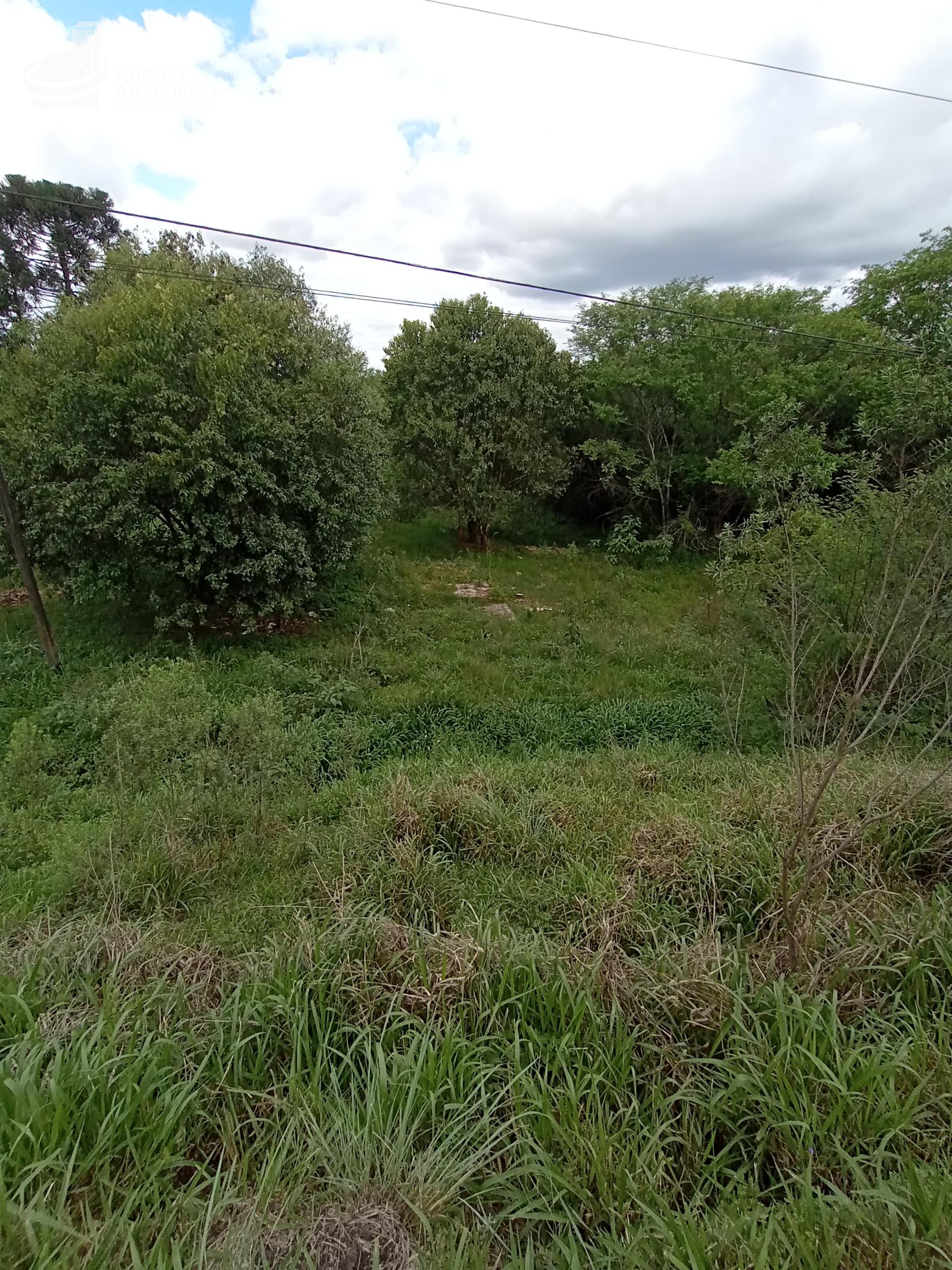 Terreno de 407,000, localizado na rua das Camlias, Bairro Alvorada  Marmeleiro.