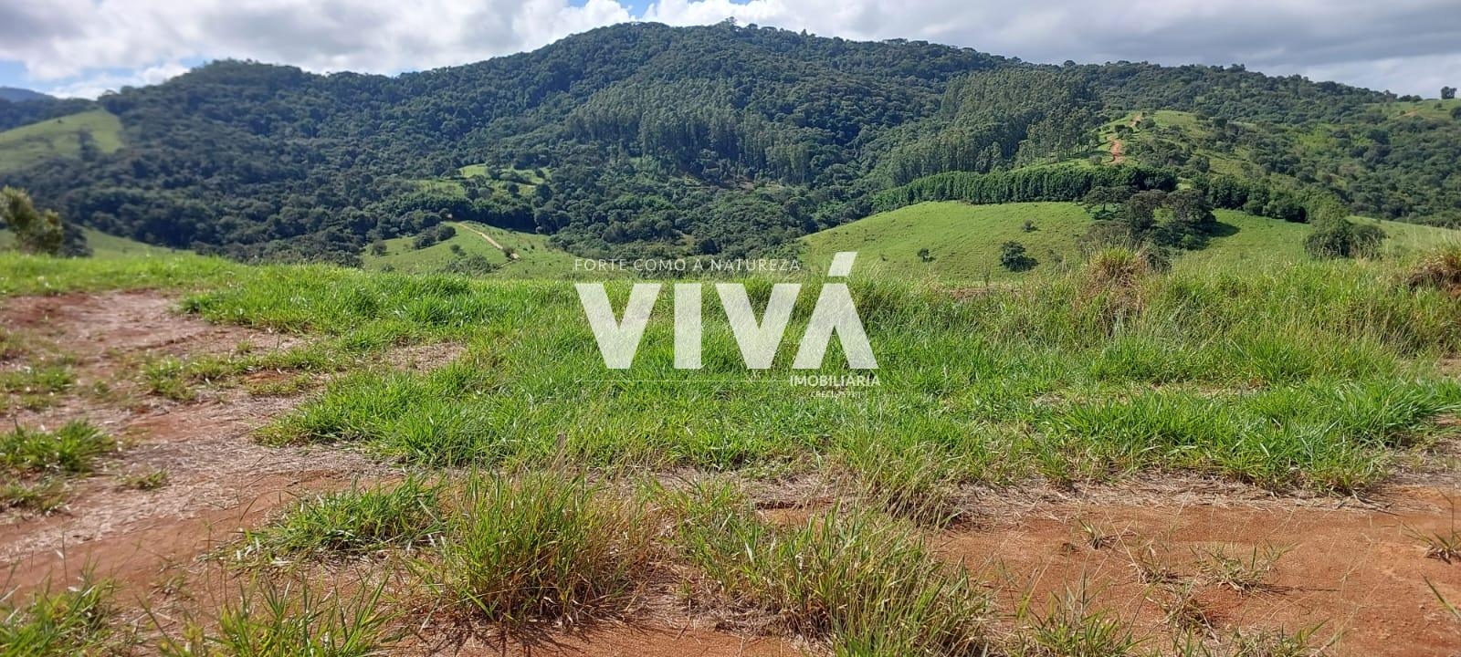 IMPERDÍVEL - lote de 308,80m   Para construção imediata