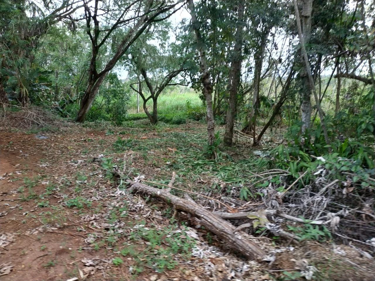 EXCELENTE REA COM 14.219M  - PRXIMO AVENIDA TRANCREDO NEVES- PORTO BELO