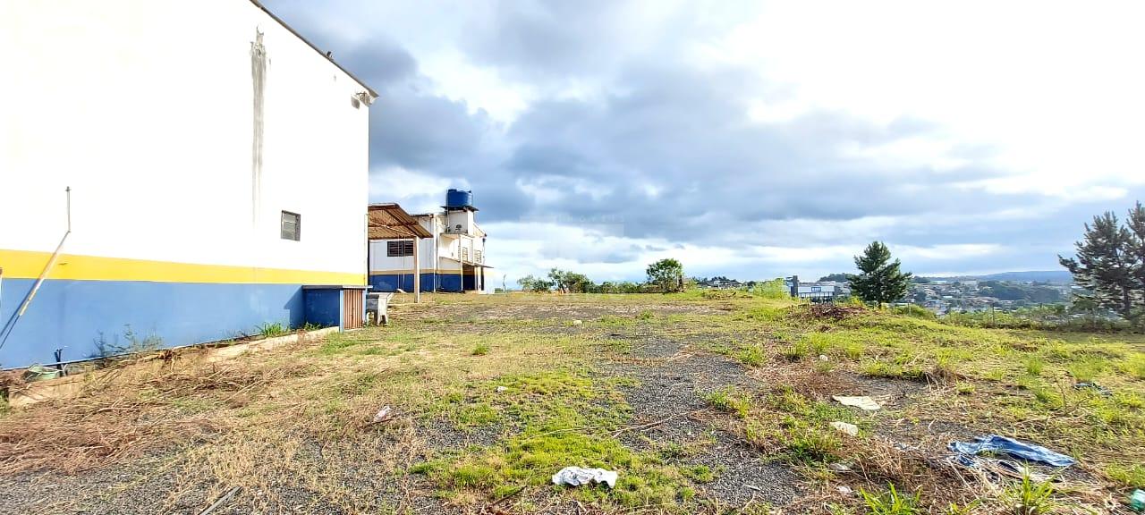 BARRACÃO ESCRITÓRIO APARTAMENTO TERRENO PARA LOCAÇÃO, ALTO BON...