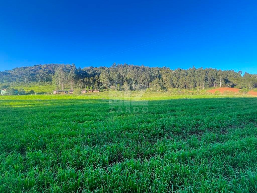 TERRENO RURAL COM 170.932,08m 