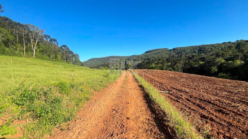 TERRENO RURAL COM 170.932,08m 