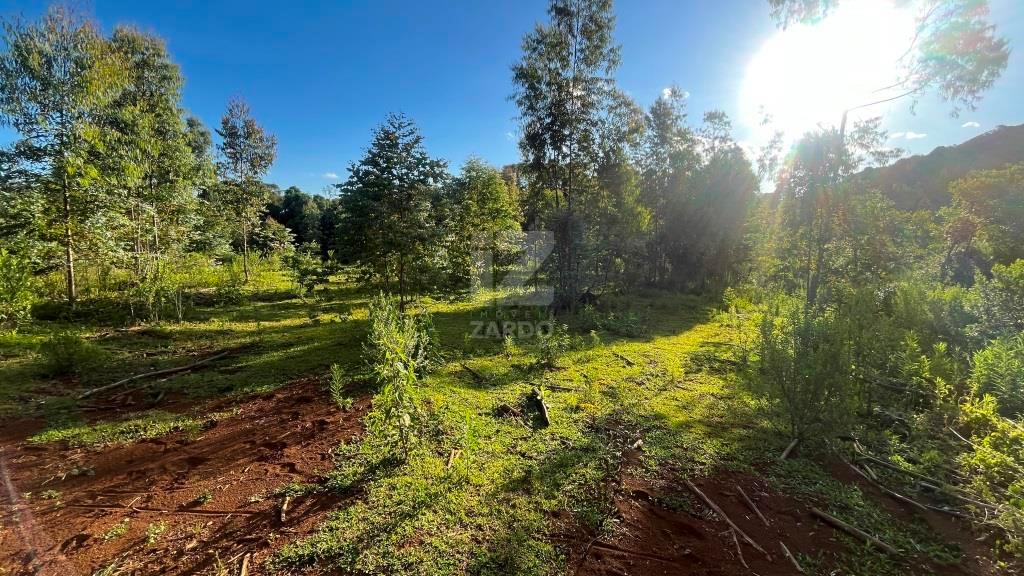 Chácara, Dos Municípios, CACADOR - SC