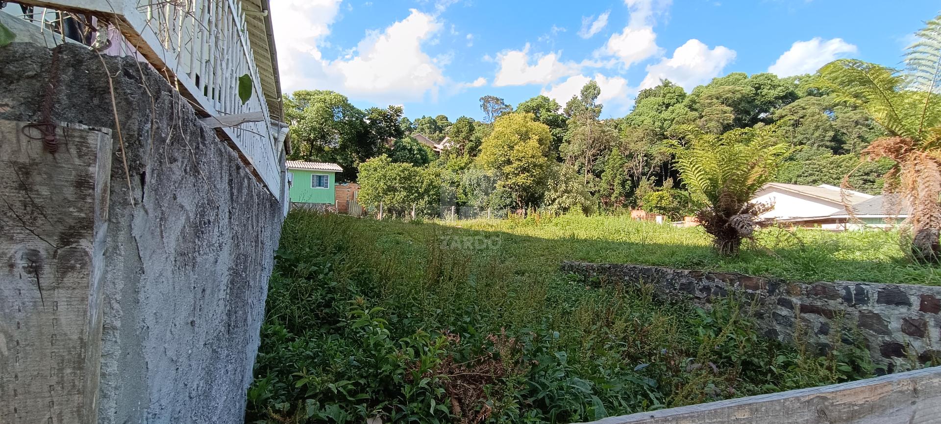 Terreno plano à Venda no Bairro Santa Catarina  300,00m   - C...