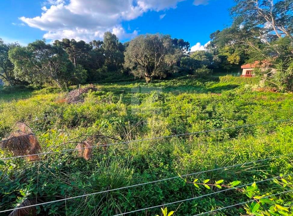 Terreno à venda, CENTRO, CACADOR - SC