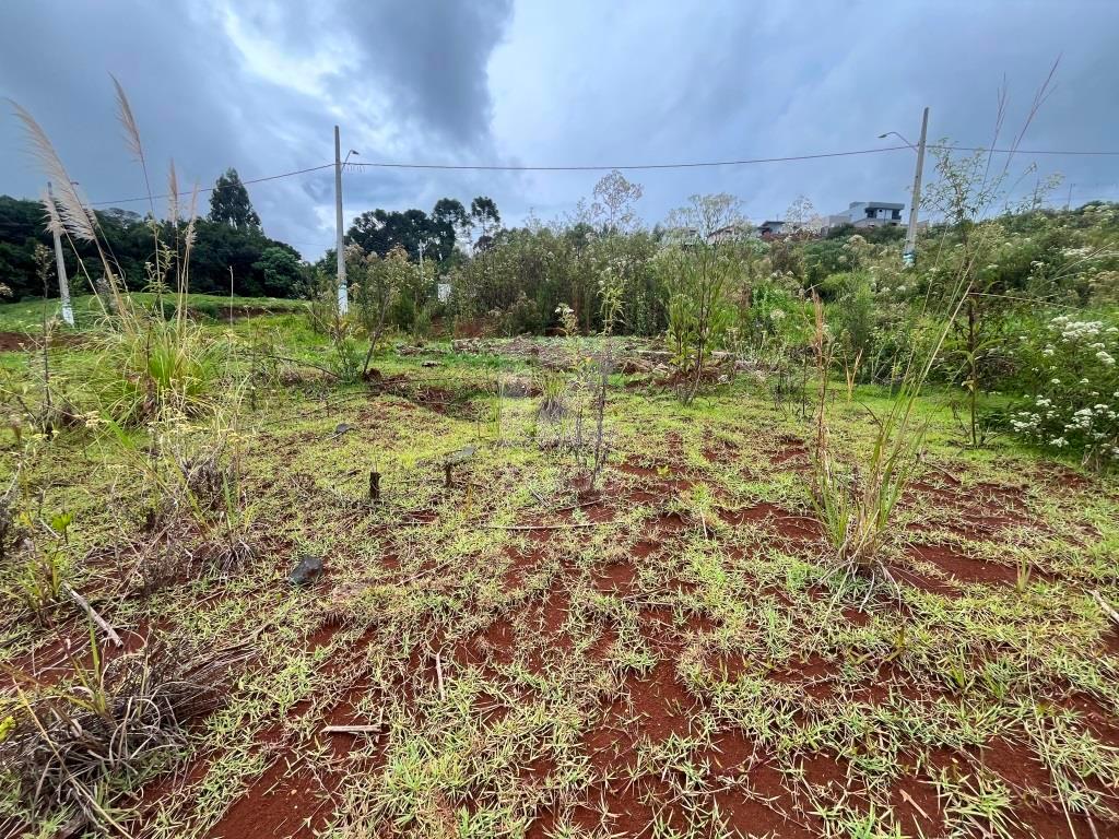 Lote à venda, MUNICIPIOS, CACADOR - SC