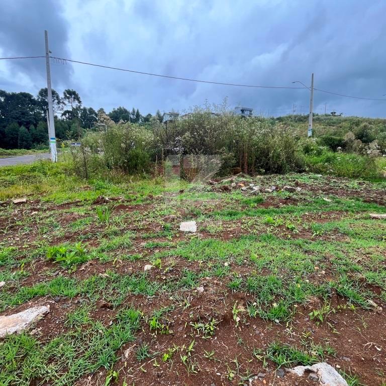 Lote à venda, MUNICIPIOS, CACADOR - SC