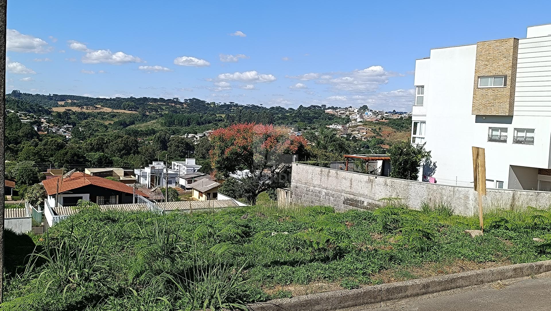 Terreno à venda - 479m  - Parte alta do Bairro Santa Catarina ...