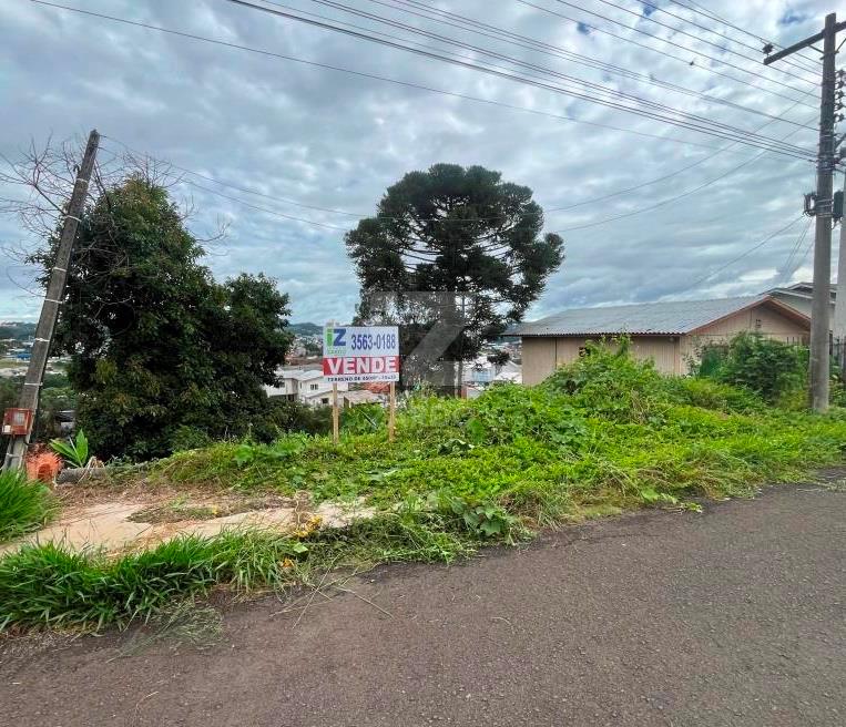 Lote à venda, BERGER, CACADOR - SC