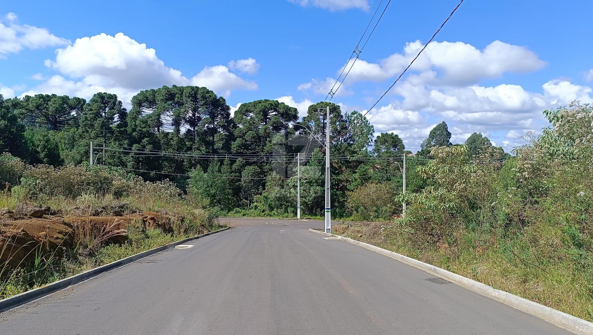 Lote, REUNIDAS, CACADOR - SC