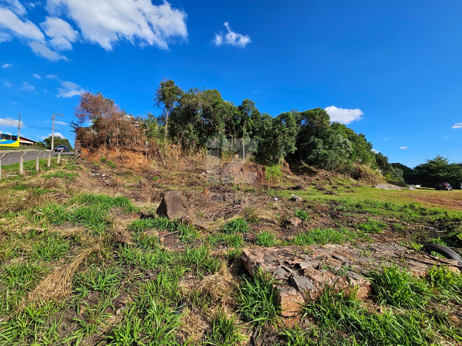 TERRENO BAIRRO BERGER
